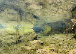 Reflection.
Capernwray Quarry.
10.5mm. by Mark Thomas 